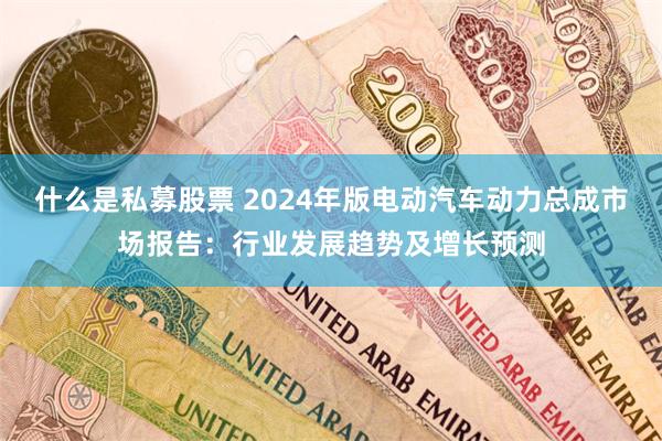 什么是私募股票 2024年版电动汽车动力总成市场报告：行业发展趋势及增长预测